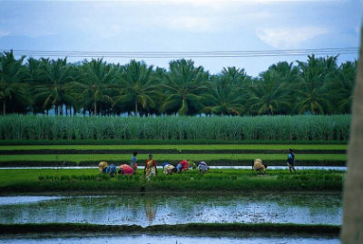 Hindi Sprachkurse bei Sprachtreff Frankfurt